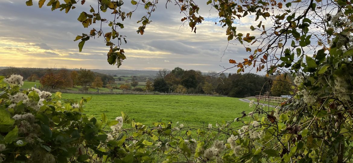 A Self-Compassionate Way Through Winter