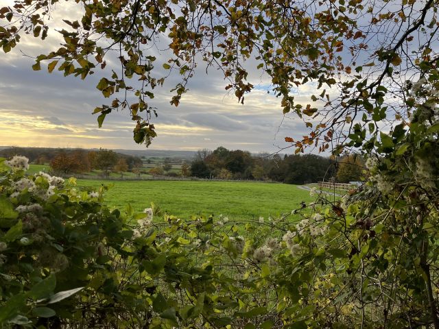 A Self-Compassionate Way Through Winter